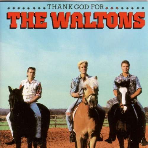 Cover Waltons, The - Thank God For The Waltons (LP, Album) Schallplatten Ankauf
