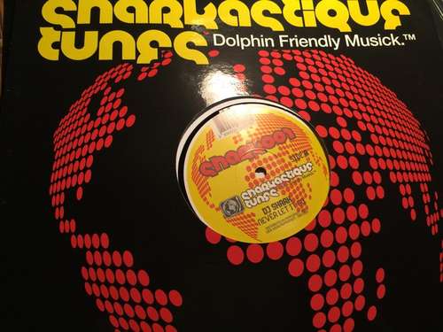 Cover DJ Shark - Never Let It Go (12) Schallplatten Ankauf