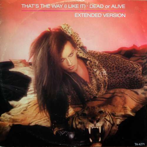 Cover Dead Or Alive - That's The Way (I Like It) (Extended Version) (12, Single) Schallplatten Ankauf