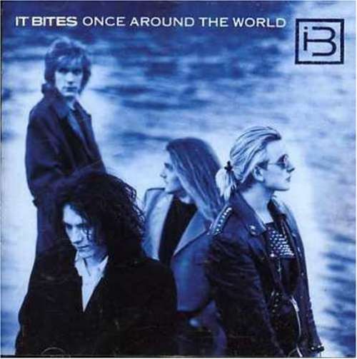 Cover It Bites - Once Around The World (LP) Schallplatten Ankauf