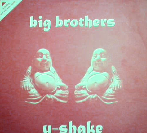 Bild Big Brothers (2) - U-Shake (12, Maxi) Schallplatten Ankauf