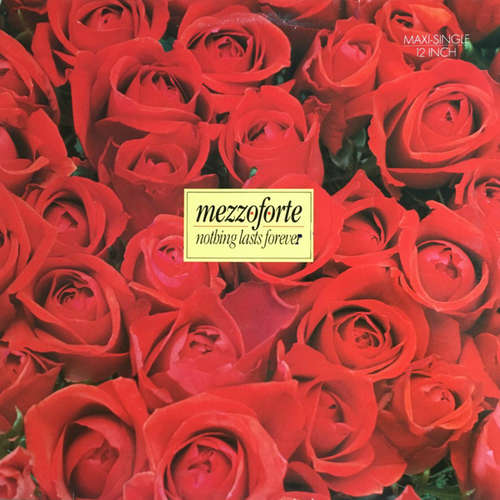 Cover Mezzoforte - Nothing Lasts Forever (12, Maxi) Schallplatten Ankauf