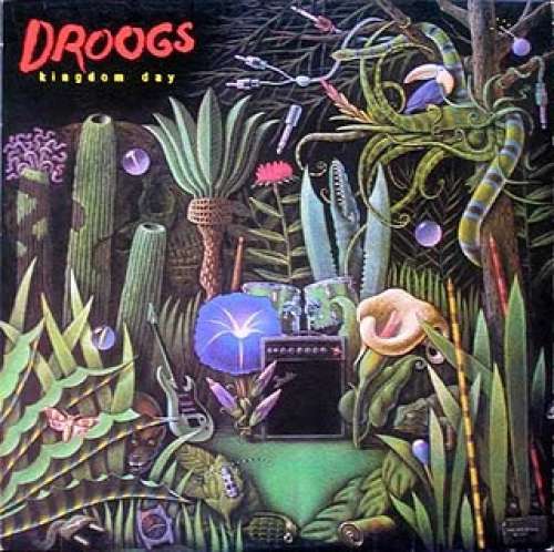 Cover Droogs - Kingdom Day (LP, Album) Schallplatten Ankauf