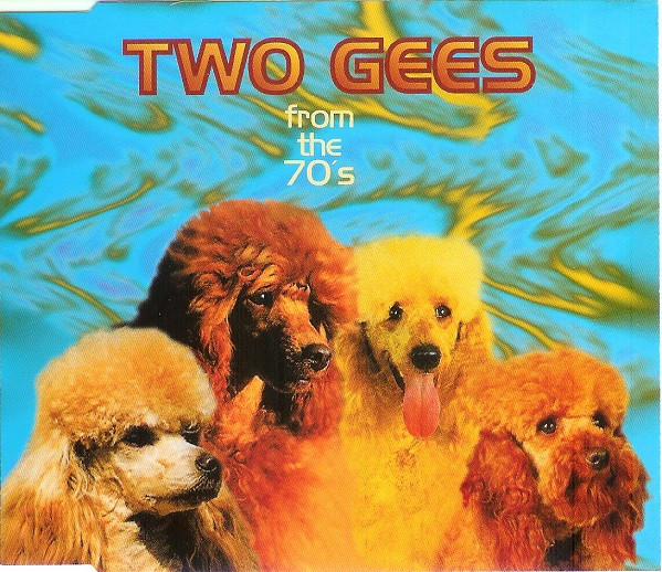 Cover Two Gee's - From The 70's (CD, Maxi) Schallplatten Ankauf
