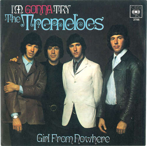 Cover The Tremeloes - I'm Gonna Try / Girl From Nowhere (7, Single) Schallplatten Ankauf