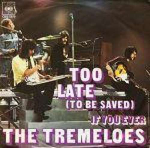 Cover The Tremeloes - Too Late (To Be Saved) (7, Single) Schallplatten Ankauf
