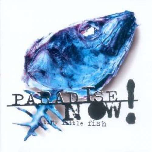 Cover Paradise Now! - Tiny Little Fish (CD, Album) Schallplatten Ankauf