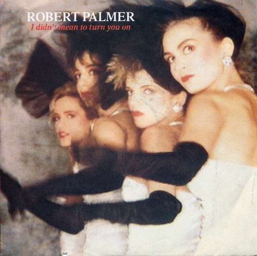 Cover Robert Palmer - I Didn't Mean To Turn You On (7, Single) Schallplatten Ankauf