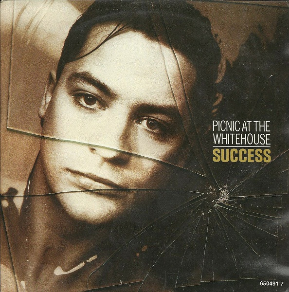 Cover Picnic At The Whitehouse - Success (7) Schallplatten Ankauf