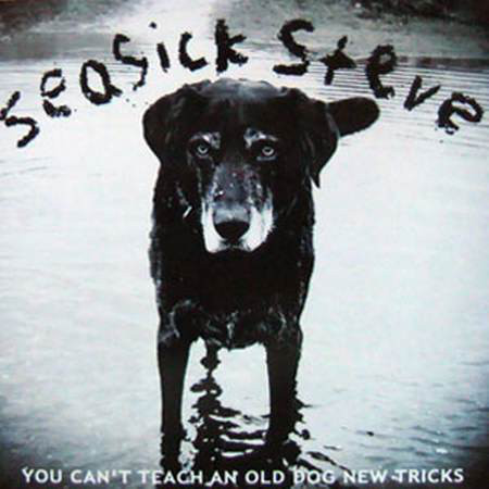 Cover Seasick Steve - You Can't Teach An Old Dog New Tricks (LP, Album) Schallplatten Ankauf