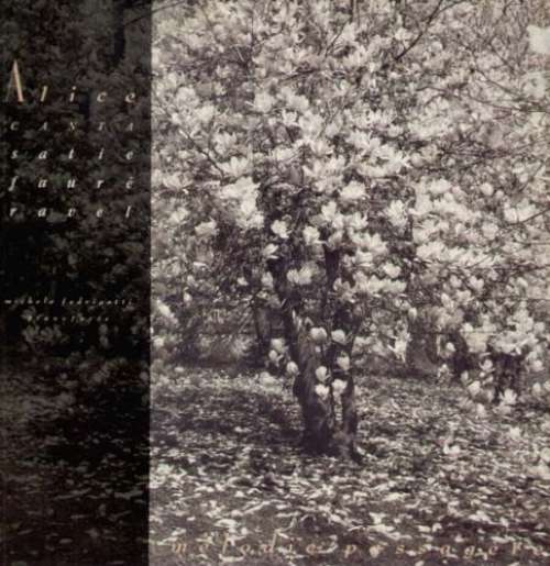 Cover Alice (4) - Mélodie Passagère (Alice Canta Satie, Fauré, Ravel) (LP, Album) Schallplatten Ankauf