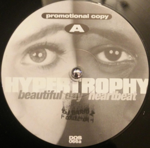 Cover Hypertrophy - Beautiful Day / Heartbeat (12, Promo) Schallplatten Ankauf
