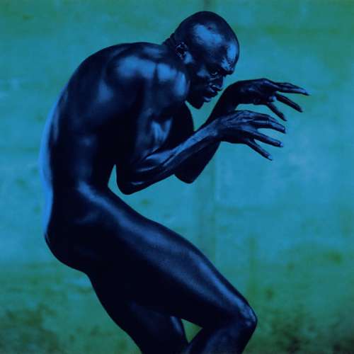 Bild Seal - Human Being (CD, Album) Schallplatten Ankauf