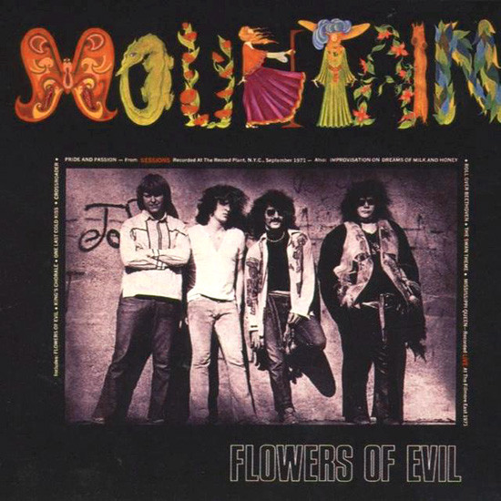 Cover Mountain - Flowers Of Evil (LP, Album) Schallplatten Ankauf