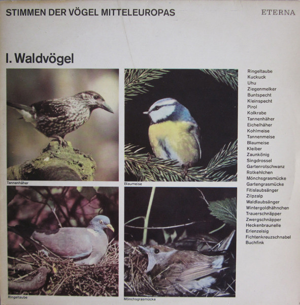 Cover No Artist - Stimmen Der Vögel Mitteleuropas - I. Waldvögel (LP, Mono, RP) Schallplatten Ankauf
