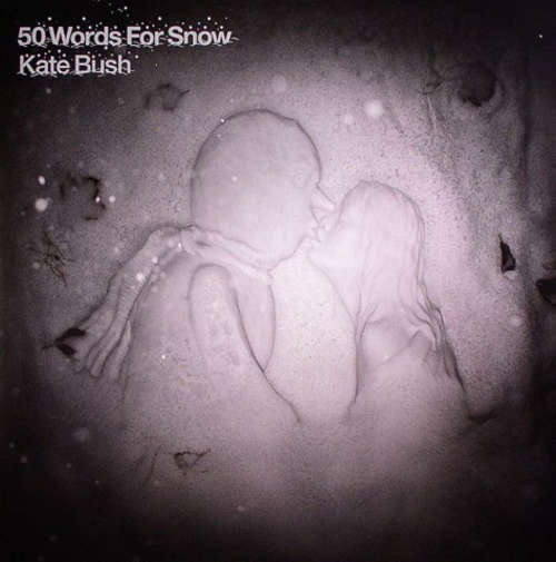 Cover Kate Bush - 50 Words For Snow (2xLP, Album) Schallplatten Ankauf