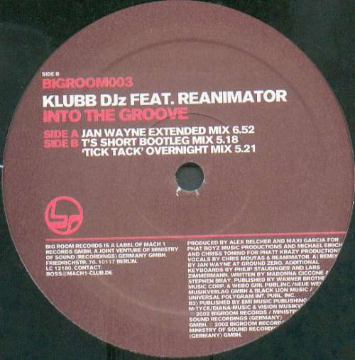 Cover Klubb DJz Feat. ReAnimator (3) - Into The Groove (12) Schallplatten Ankauf