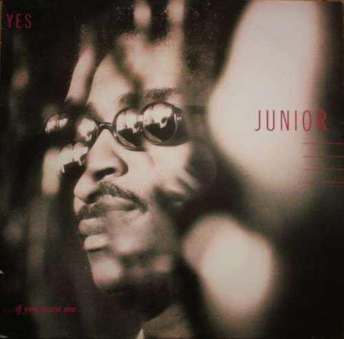 Bild Junior (2) - Yes... (If You Want Me) (12) Schallplatten Ankauf