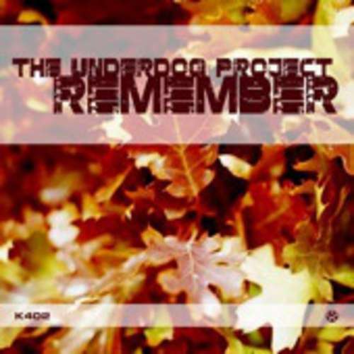 Cover The Underdog Project - Remember (12) Schallplatten Ankauf