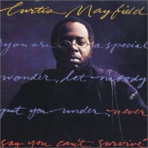 Cover Curtis Mayfield - Never Say You Can't Survive (LP, Album) Schallplatten Ankauf
