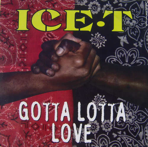 Cover Ice-T - Gotta Lotta Love (12, Maxi) Schallplatten Ankauf