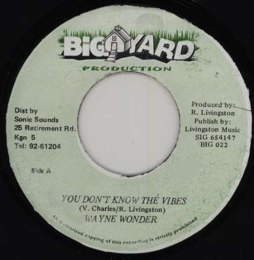 Cover Wayne Wonder - You Don't Know The Vibes (7) Schallplatten Ankauf