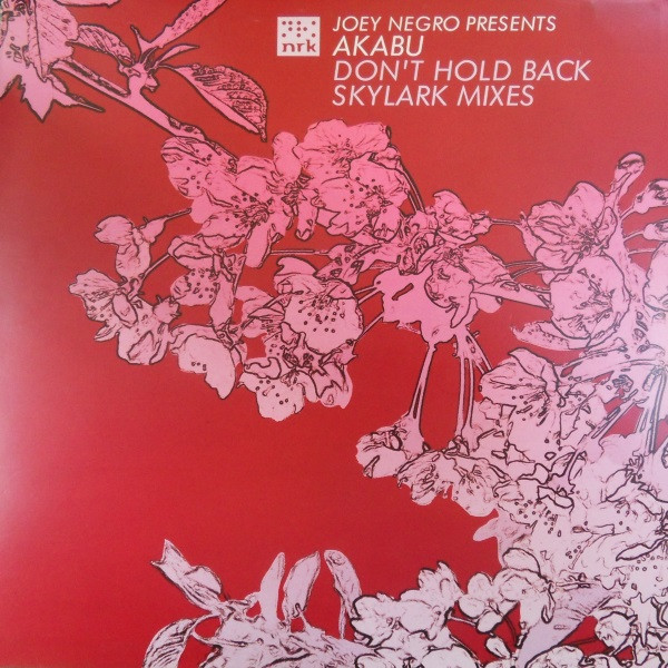 Cover Joey Negro presents Akabu - Don't Hold Back (Skylark Mixes) (12) Schallplatten Ankauf