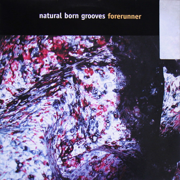 Bild Natural Born Grooves - Forerunner (12) Schallplatten Ankauf