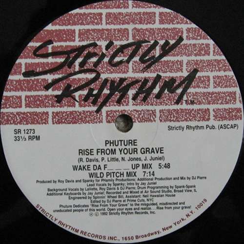 Cover Rise From Your Grave Schallplatten Ankauf