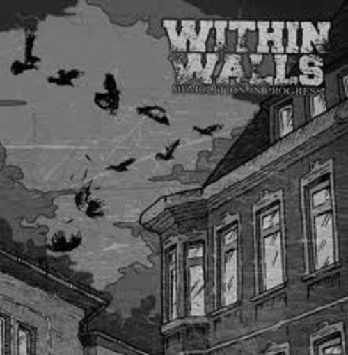 Cover Within Walls - Demolition In Progress (LP) Schallplatten Ankauf