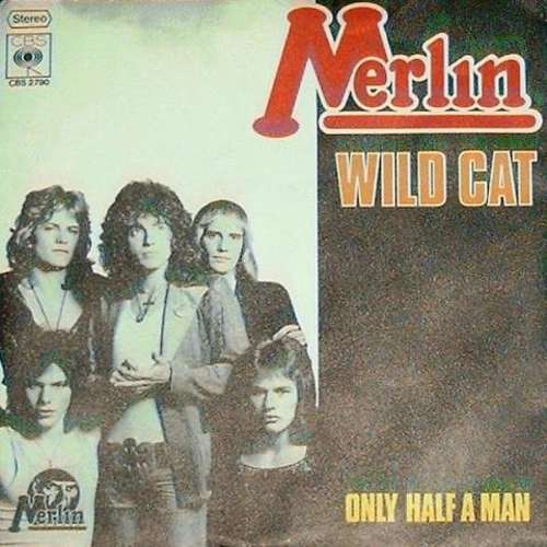 Cover Wild Cat Schallplatten Ankauf