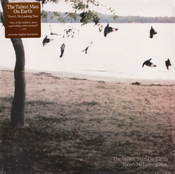 Cover The Tallest Man On Earth - There's No Leaving Now (LP, Album) Schallplatten Ankauf