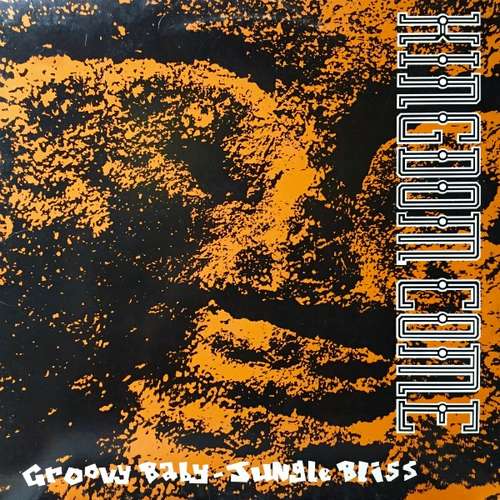 Cover Groovy Baby / Jungle Bliss Schallplatten Ankauf