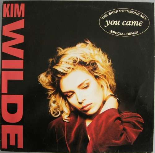 Cover Kim Wilde - You Came (The Shep Pettibone Mix) (12) Schallplatten Ankauf
