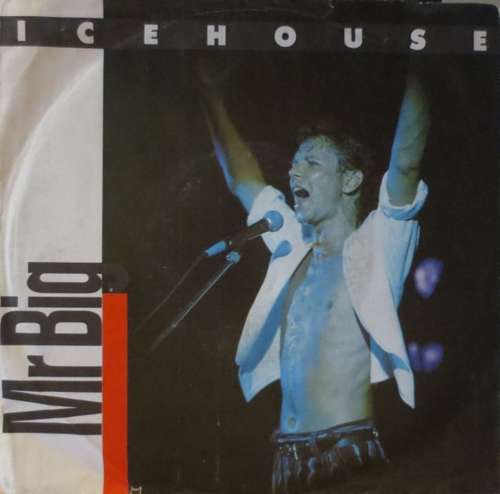 Cover Icehouse - Mr Big (7, Single) Schallplatten Ankauf