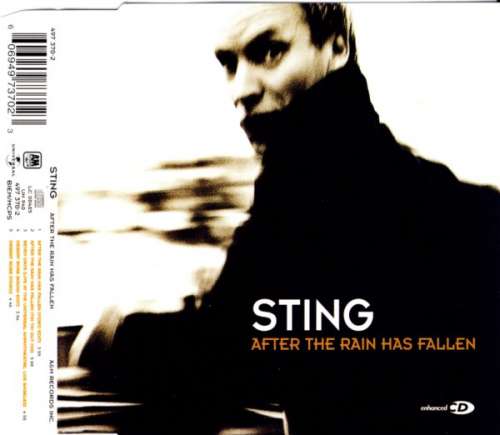 Cover Sting - After The Rain Has Fallen (CD, Maxi, Enh) Schallplatten Ankauf