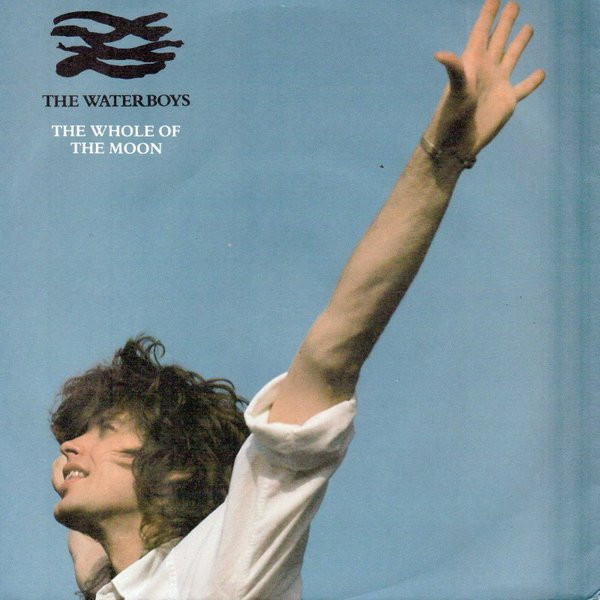Cover The Waterboys - The Whole Of The Moon (7, Mik) Schallplatten Ankauf