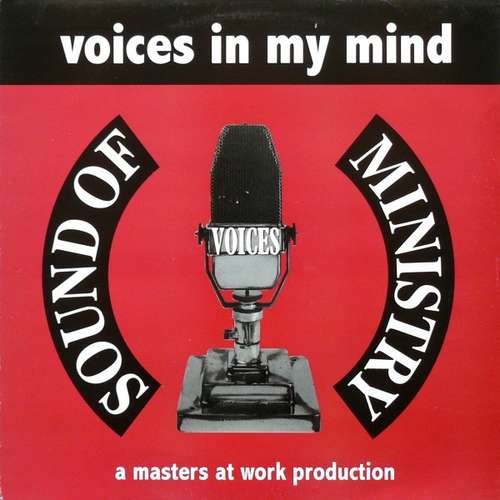 Cover Voices In My Mind Schallplatten Ankauf