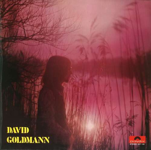 Cover David Goldmann - David Goldmann (LP, Album) Schallplatten Ankauf