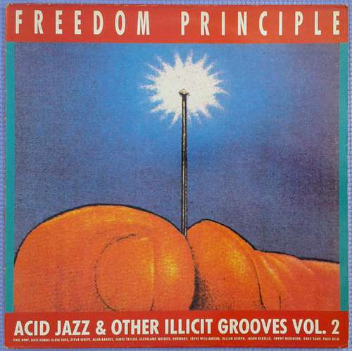 Cover Various - Freedom Principle - Acid Jazz And Other Illicit Grooves Vol. 2 (LP, Album) Schallplatten Ankauf