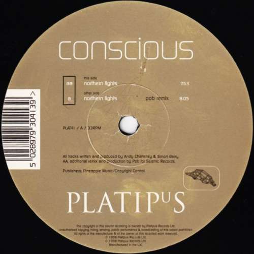 Cover Conscious - Northern Lights (12) Schallplatten Ankauf