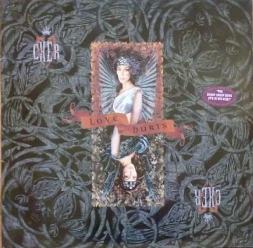 Cover Cher - Love Hurts (LP, Album) Schallplatten Ankauf