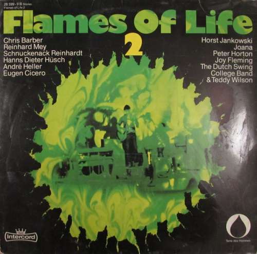 Bild Various - Flames Of Life 2 (LP) Schallplatten Ankauf