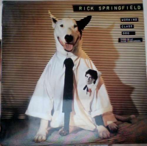 Cover Rick Springfield - Working Class Dog (LP, Album) Schallplatten Ankauf