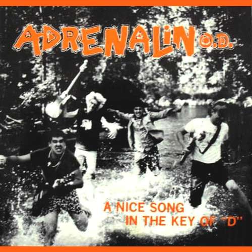 Cover Adrenalin O.D. - A Nice Song In The Key Of D (7) Schallplatten Ankauf