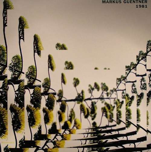 Cover Markus Guentner - 1981 (12) Schallplatten Ankauf