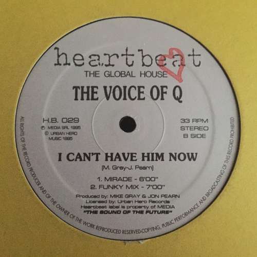 Cover The Voice Of Q - I Can't Have Him Now (12) Schallplatten Ankauf