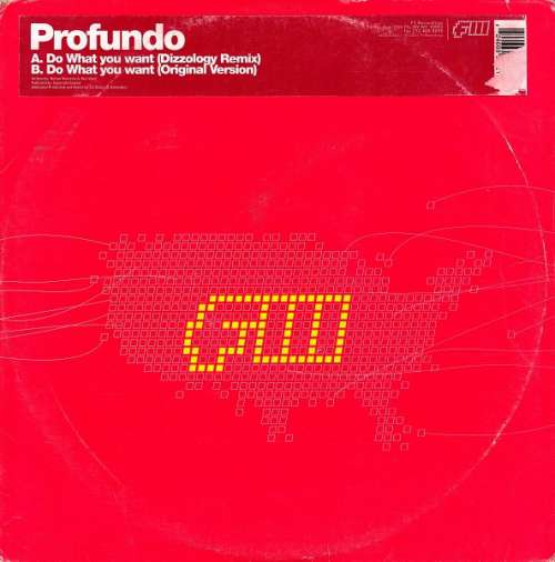 Cover Profundo - Do What You Want (12) Schallplatten Ankauf