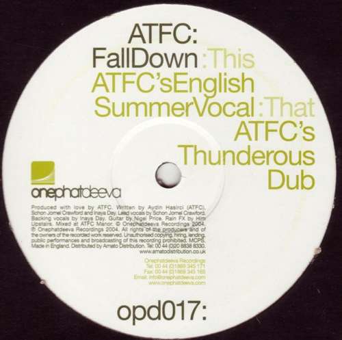 Cover Fall Down Schallplatten Ankauf
