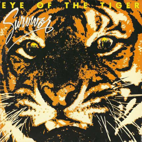 Cover Eye Of The Tiger Schallplatten Ankauf